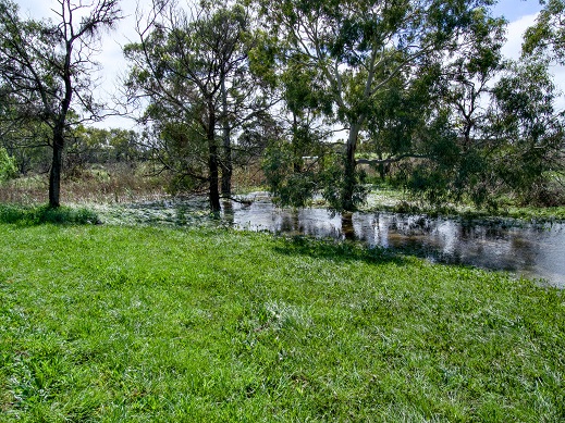 creek photo